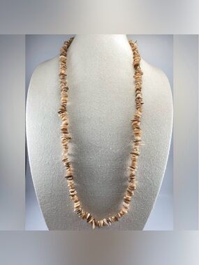 Stunning Unsigned Agate Mother of Pearl Chip Statement Long Necklace